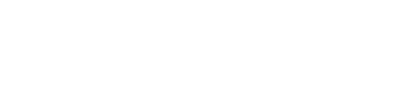 Logo_flairdivision